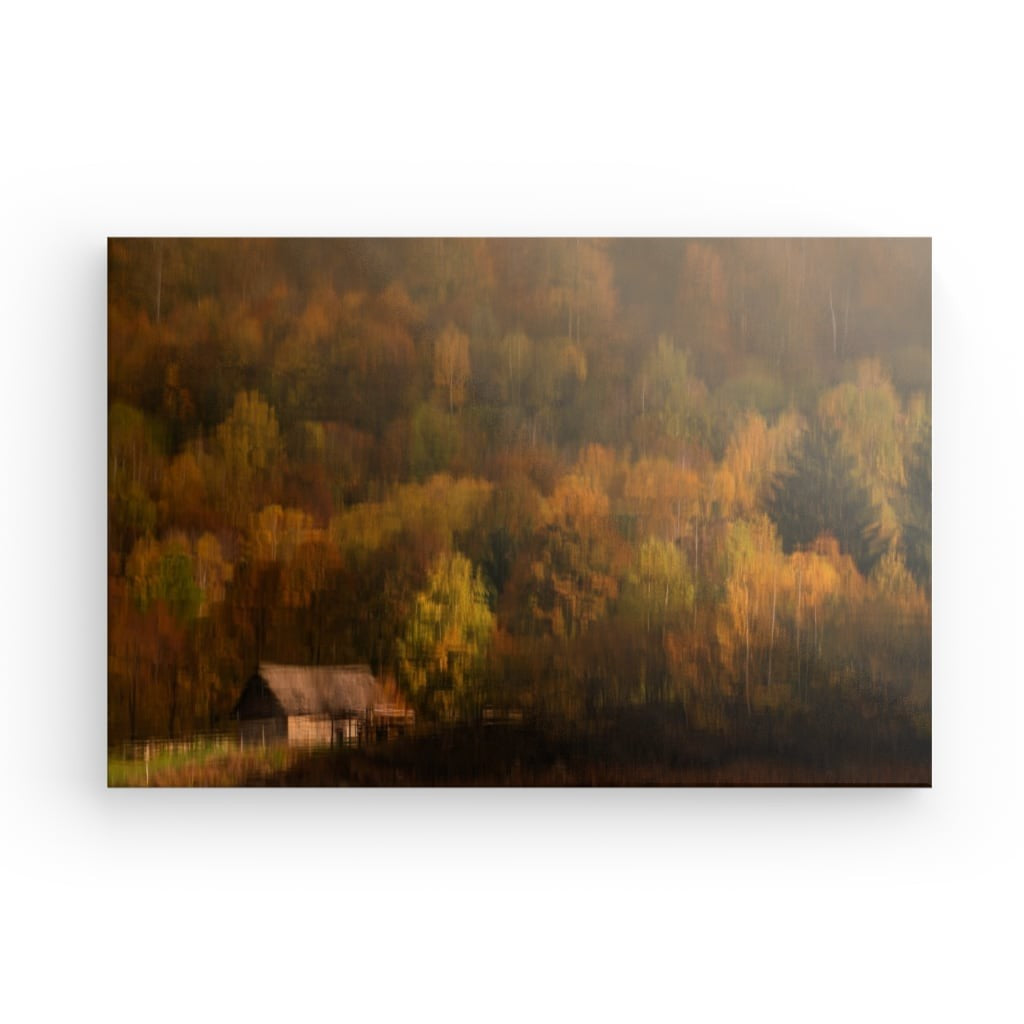 Autumn impressions: Lonely hut in vibrant colors