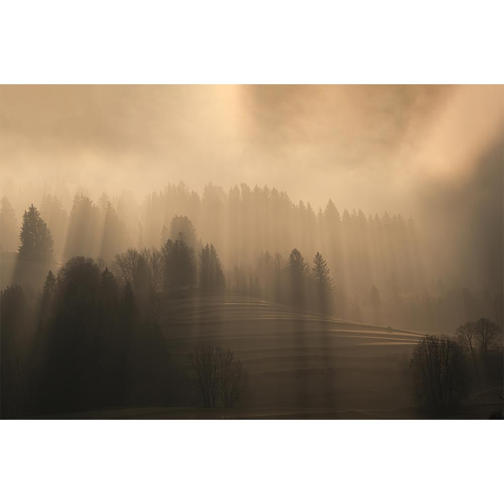 Frühlingsmorgen im Allgäu